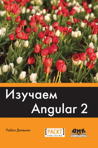 Обложка книги «Изучаем Angular 2»