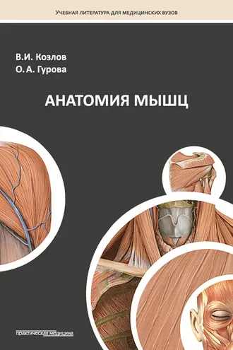 Обложка книги «Анатомия мышц»