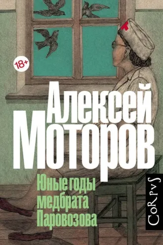 Обложка книги «Юные годы медбрата Паровозова»