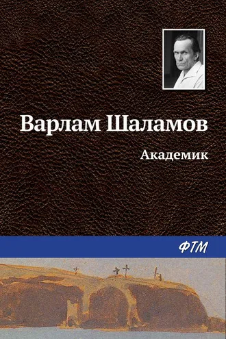 Обложка книги «Академик»