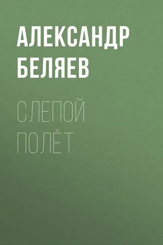 Обложка книги «Слепой полёт»