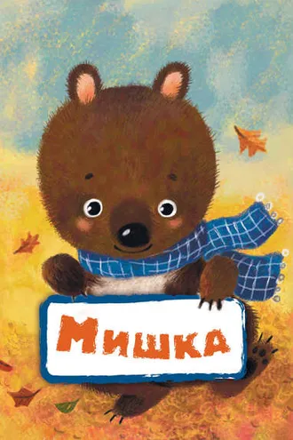 Обложка книги «Мишка»