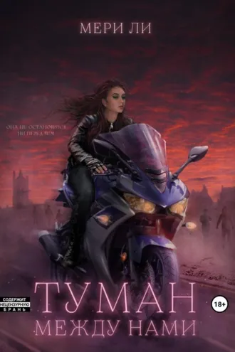 Обложка книги «Туман между нами»