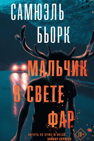 Обложка книги «Мальчик в свете фар»
