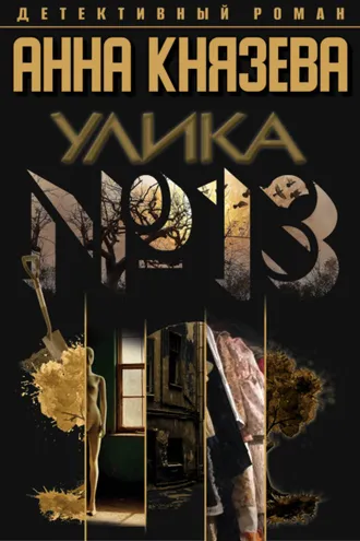 Обложка книги «Улика № 13»