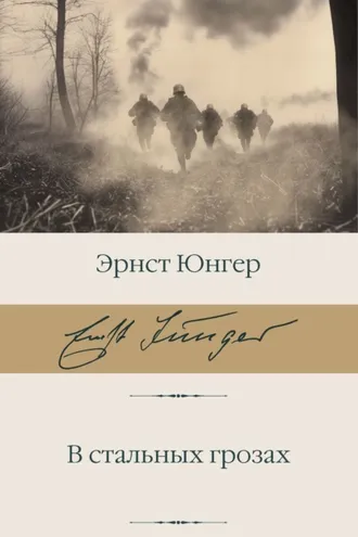 Обложка книги «В стальных грозах»