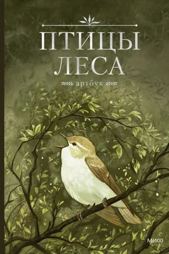 Обложка книги «Птицы леса. Артбук»