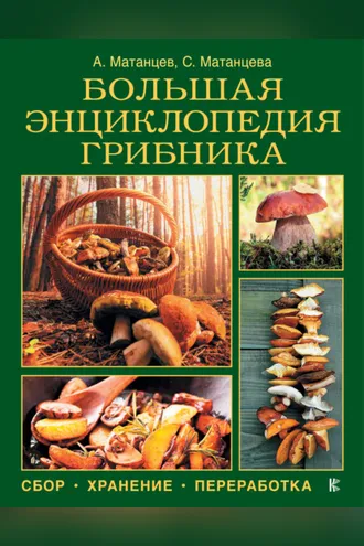 Обложка книги «Большая энциклопедия грибника»