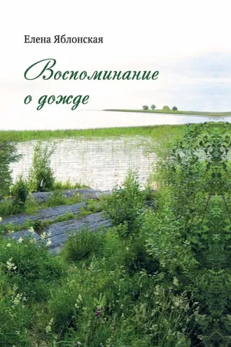 Обложка книги «Воспоминание о дожде»