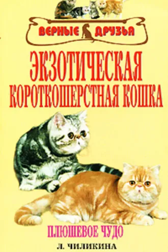 Обложка книги «Экзотическая короткошерстная кошка»