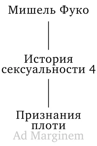 Обложка книги «История сексуальности 4. Признания плоти»