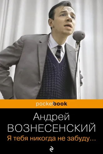 Обложка книги «Я тебя никогда не забуду…»