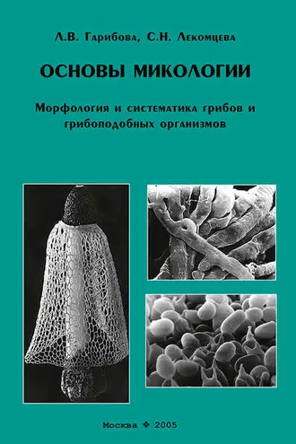 Обложка книги «Основы микологии. Морфология и систематика грибов и грибоподобных организмов»