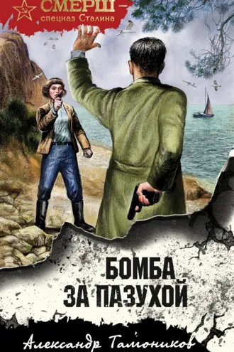Обложка книги «Бомба за пазухой»