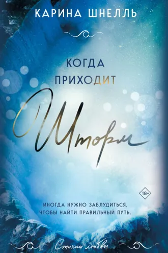 Обложка книги «Когда приходит шторм»