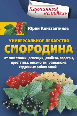 Обложка книги «Универсальное лекарство смородина. От гипертонии, деменции, диабета, подагры, простатита, онкологии, ревматизма, сердечных заболеваний…»