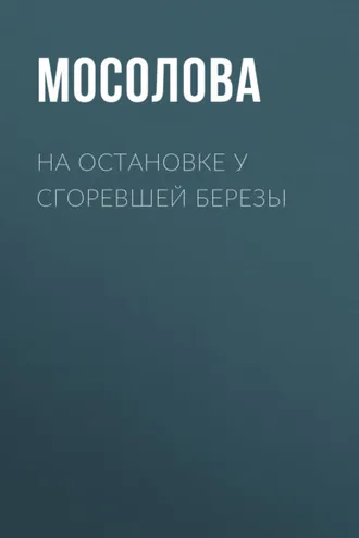 Обложка книги «На остановке у сгоревшей березы»