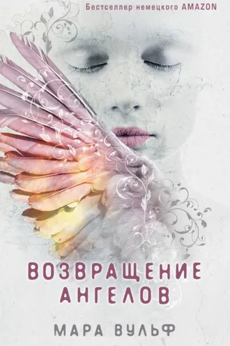 Обложка книги «Возвращение ангелов»