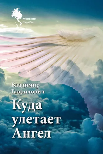 Обложка книги «Куда улетает Ангел»