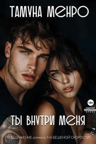 Обложка книги «Ты внутри меня»