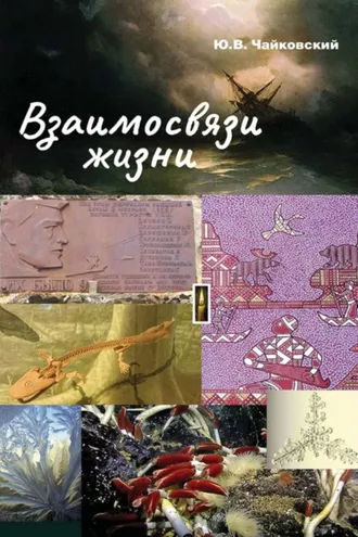 Обложка книги «Взаимосвязи жизни. Миниэнциклопедия дополняет. Том 1. А – П»