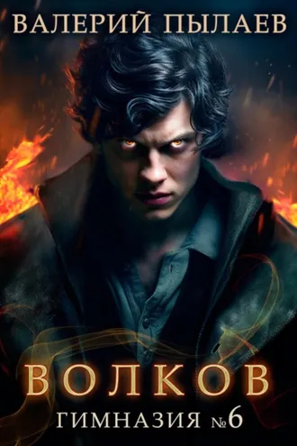 Обложка книги «Волков. Гимназия №6»