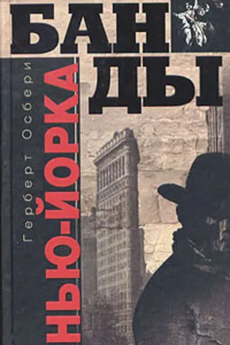 Обложка книги «Банды Нью-Йорка»