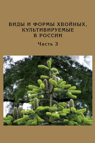 Обложка книги «Виды и формы хвойных, культивируемые в России. Часть 3. Abies Mill., Chamaecyparis Spach»