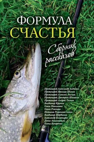 Обложка книги «Формула счастья. Сборник рассказов»