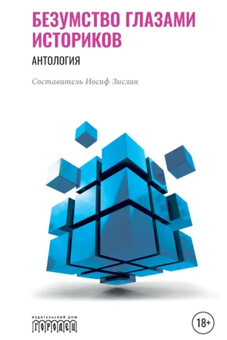 Обложка книги «Безумство глазами историков»