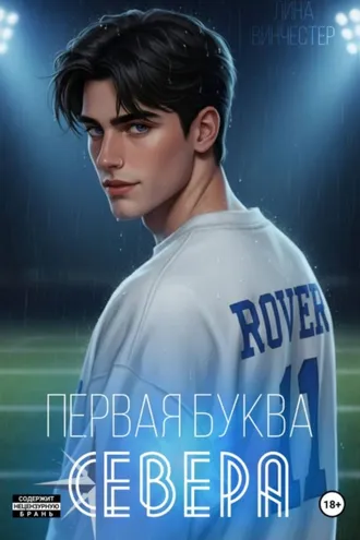 Обложка книги «Первая буква Севера»