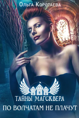 Обложка книги «Тайны Магсквера: По волчатам не плачут»