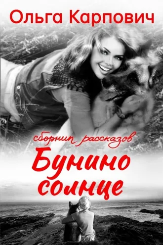 Обложка книги «Бунино солнце»
