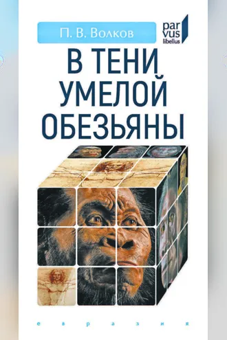 Обложка книги «В тени умелой обезьяны»