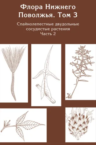 Обложка книги «Флора Нижнего Поволжья. Том 3. Часть 2. Спайнолепестные двудольные сосудистые растения (Asteraceae). Дополнения к предыдущим томам»