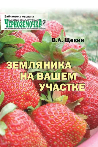Обложка книги «Земляника на вашем участке»