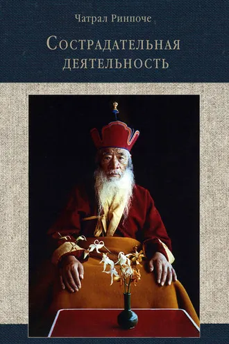Обложка книги «Сострадательная деятельность»
