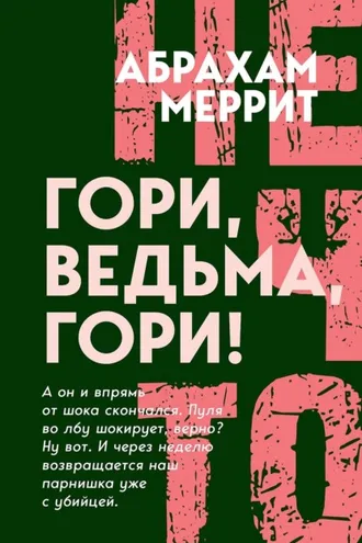 Обложка книги «Гори, ведьма, гори!»