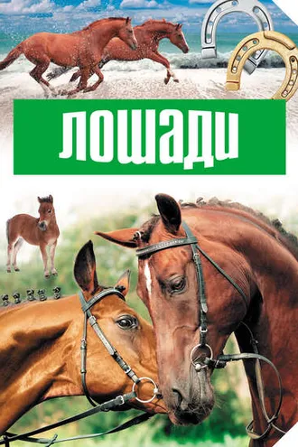 Обложка книги «Лошади»