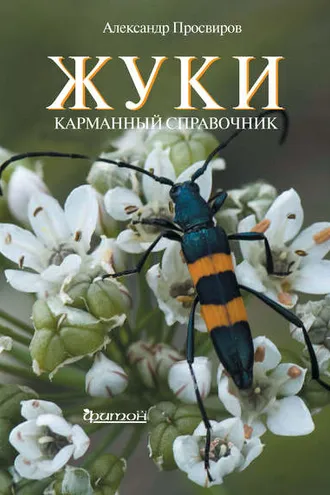 Обложка книги «Жуки»