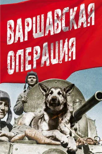 Обложка книги «Варшавская операция»