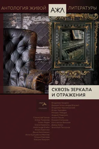 Обложка книги «Сквозь зеркала и отражения»