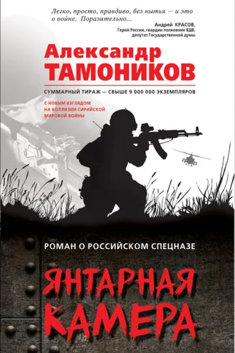Обложка книги «Янтарная камера»