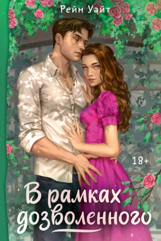 Обложка книги «В рамках дозволенного»