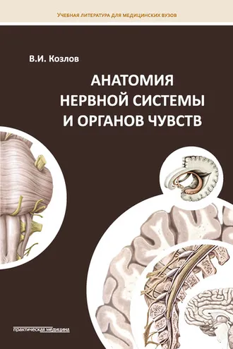 Обложка книги «Анатомия нервной системы и органов чувств»