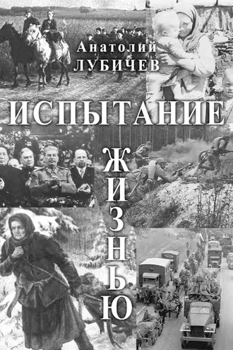 Обложка книги «Испытание жизнью»
