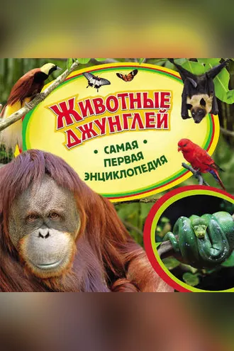 Обложка книги «Животные джунглей»