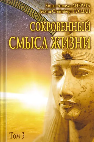 Обложка книги «Сокровенный смысл жизни. Том 3»
