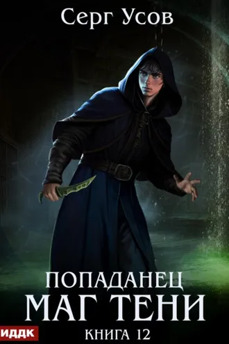 Обложка книги «Попаданец. Маг Тени. Книга 12»