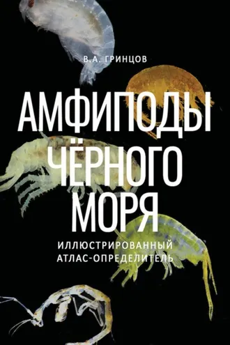 Обложка книги «Амфиподы Чёрного моря. Иллюстрированный атлас-определитель»